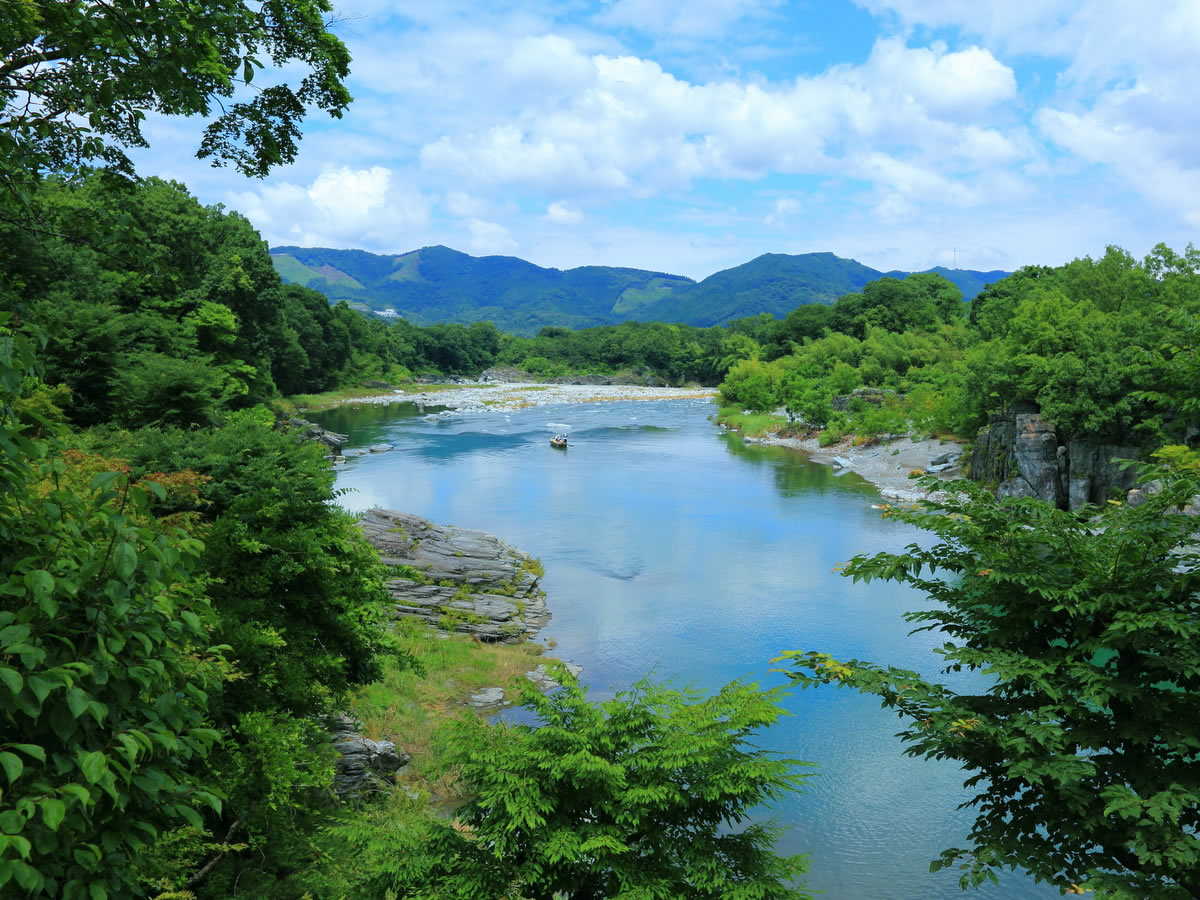 レストラン岩ざくらからの景色
