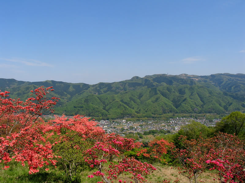 宝登山から望む長瀞町