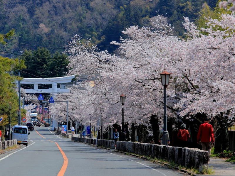 宝登山神社へ向かう参道