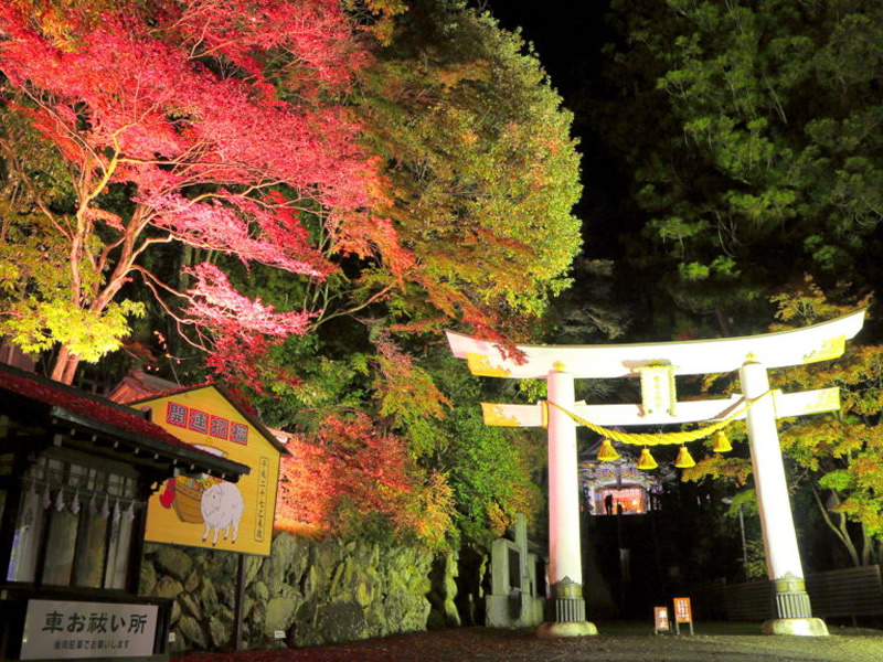 紅葉期の宝登山神社