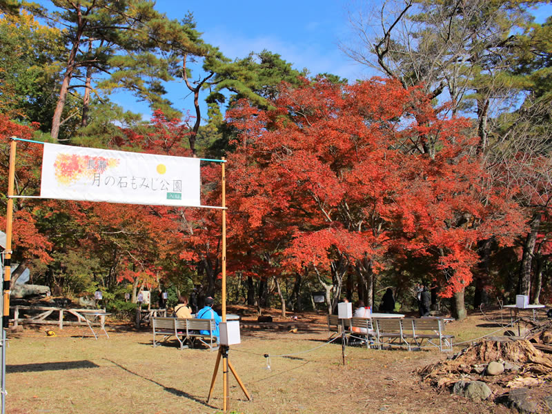 長瀞イチの紅葉スポット月の石もみじ公園
