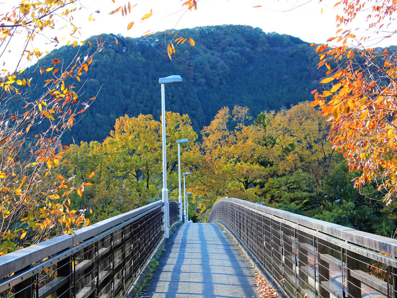 紅葉スポット金石水管橋
