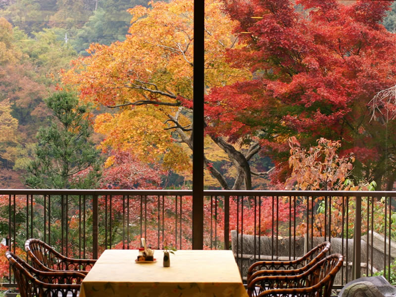 紅葉スポット長生館岩ざくらからの景色