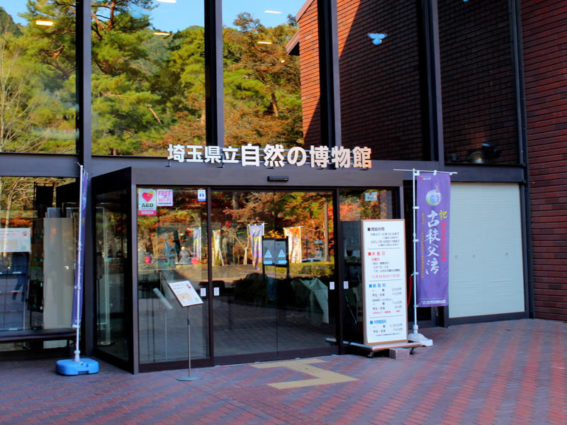 県立自然の博物館