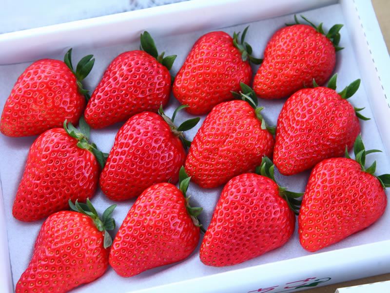 いちご紅ほっぺ